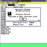 MS-DOS Executive